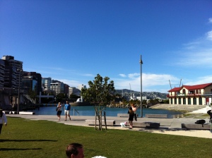 Sensational views from the grass area at St Johns on a cracking Wellington day.